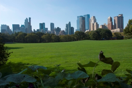 Environmental Site Assessments, Phase I, Phase II