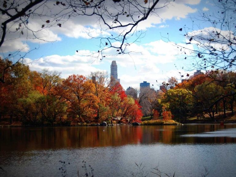 5 Reasons to Inspect & Maintain Your Building Envelope this Fall