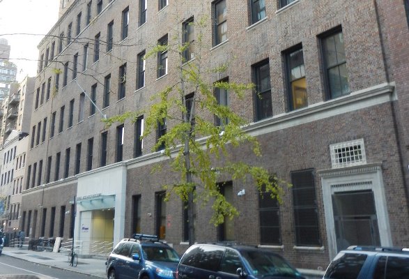 NYU-Langone Medical Center